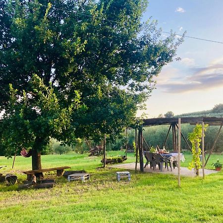 La Casa Nell'Aia Bed & Breakfast Monsummano Terme Luaran gambar