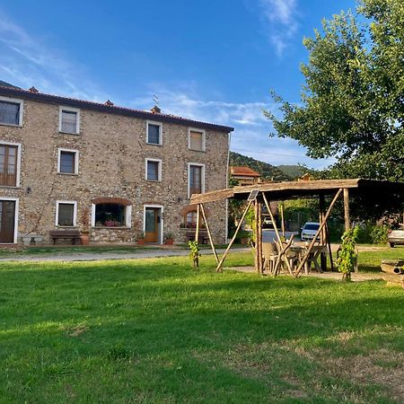 La Casa Nell'Aia Bed & Breakfast Monsummano Terme Luaran gambar