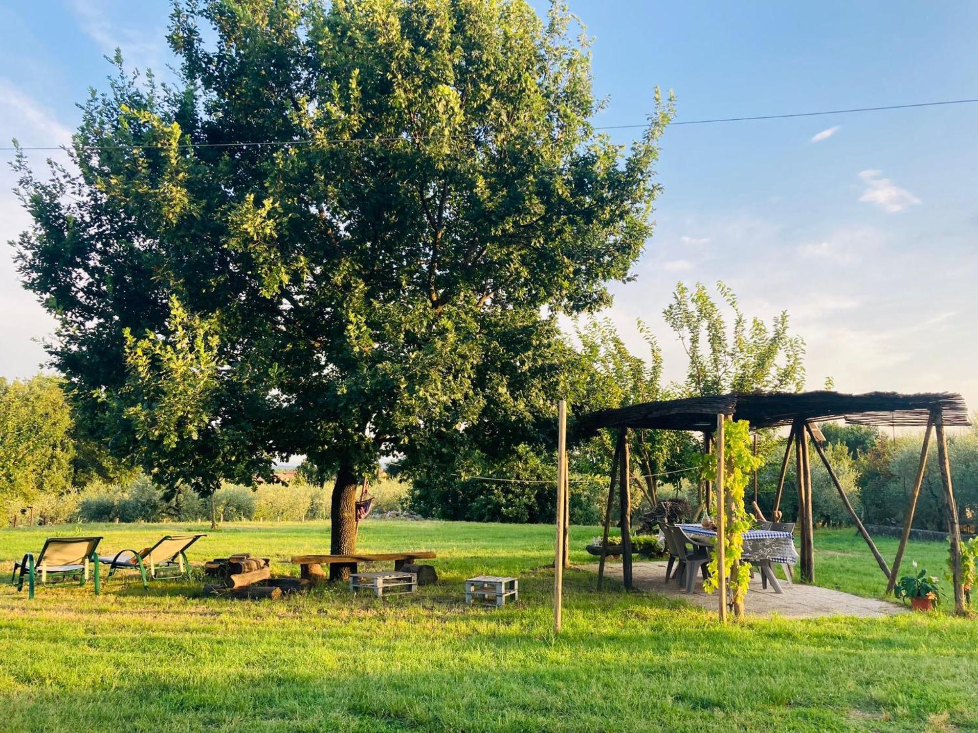 La Casa Nell'Aia Bed & Breakfast Monsummano Terme Luaran gambar